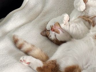 Similar image 22040996