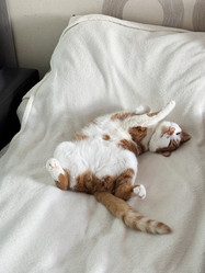 Similar image 22040997