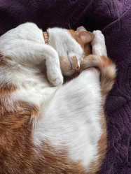 Similar image 22040998