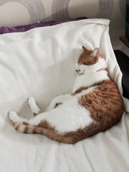 Similar image 22041000