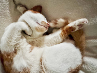 Similar image 22041002