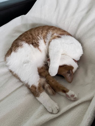 Similar image 22041003