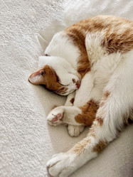 Similar image 22041004