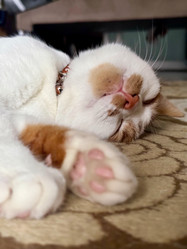 Similar image 22041005