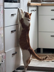 Similar image 22041006