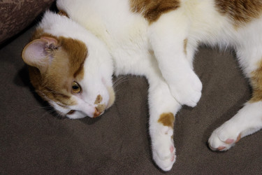 Similar image 22041007