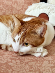 Similar image 22041008