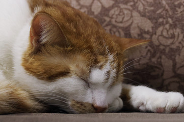 Similar image 22041012