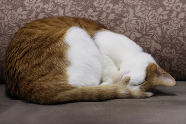 Similar image 22041013