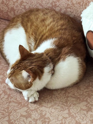 Similar image 22041014