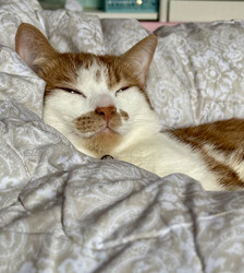 Similar image 22041015