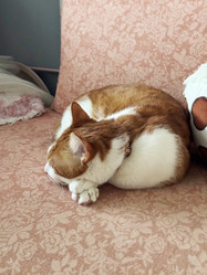 Similar image 22041016