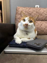 Similar image 22041017