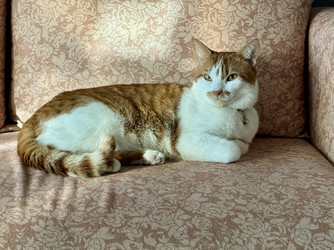 Similar image 22041018