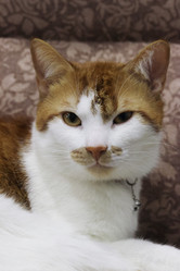 Similar image 22041019