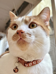 Similar image 22041020