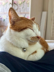 Similar image 22041021