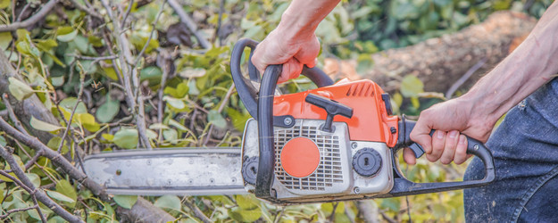 Similar image 22026930