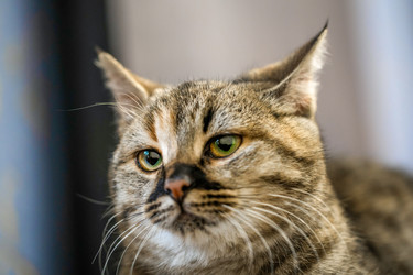 Similar image 22026931