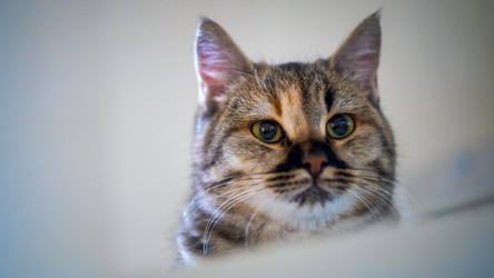 Similar image 22026932