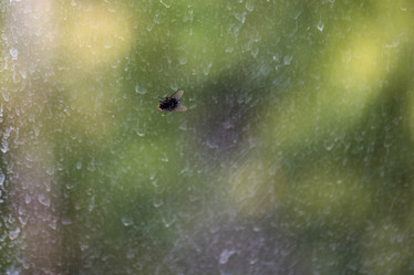 Similar image 22026935