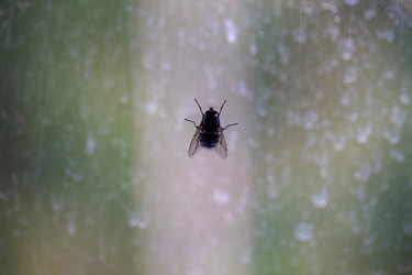 Similar image 22026937