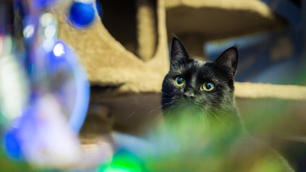 Similar image 22026938