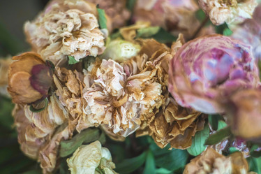 Similar image 22026944