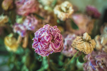 Similar image 22026945