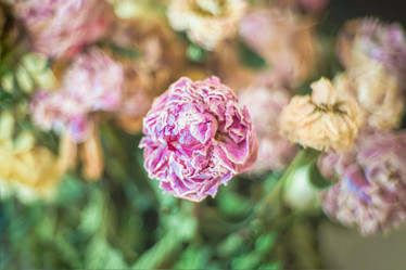 Similar image 22026946