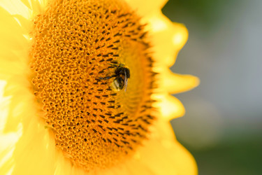 Similar image 22026947