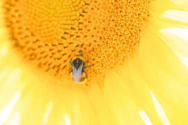 Similar image 22026948