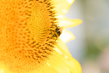 Similar image 22026951