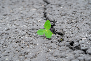 Similar image 22026953