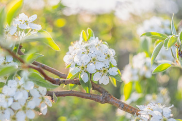 Similar image 22026954