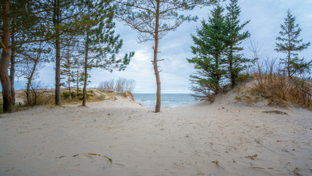 Similar image 22026955