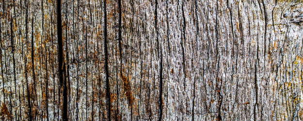 Similar image 22026956