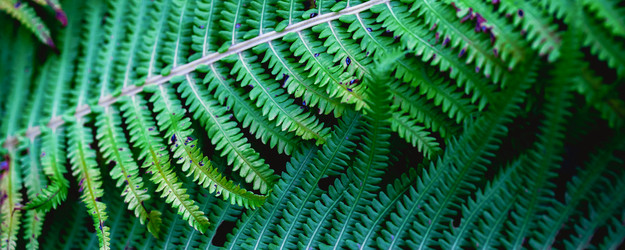 Similar image 22026957