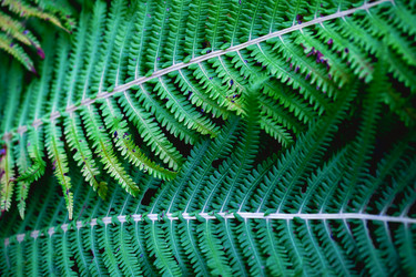 Similar image 22026958