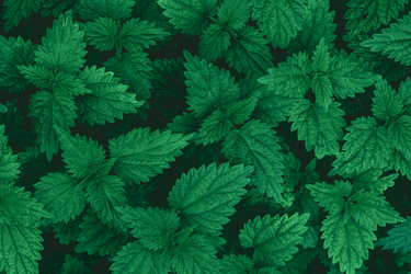 Similar image 22026959