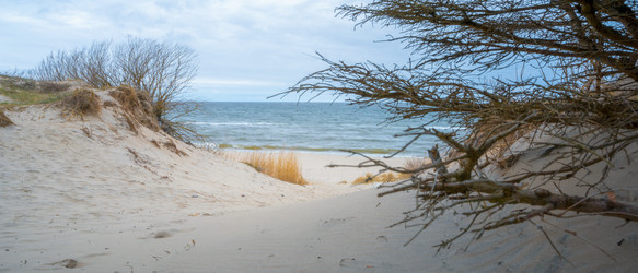 Similar image 22026966