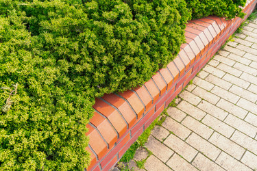 Similar image 22026974