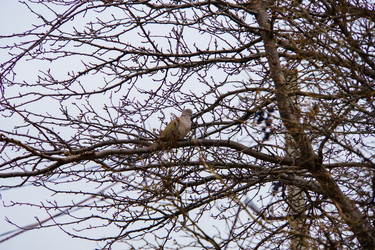 Similar image 22041896