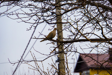 Similar image 22041897