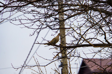 Similar image 22041898