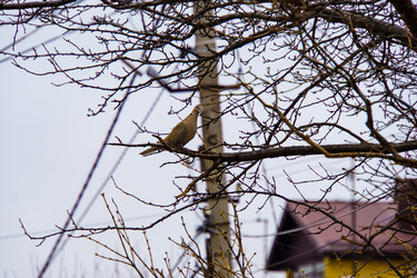 Similar image 22041899