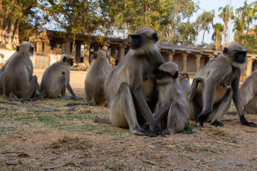 Similar image 22027728