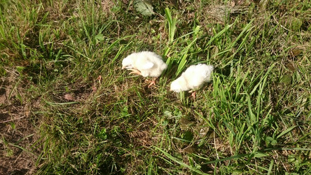 Similar image 22027053