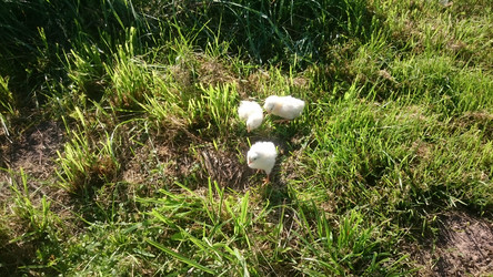 Similar image 22027054