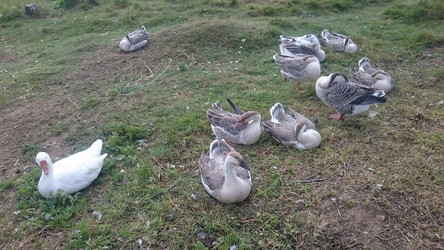 Similar image 22027055